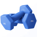 2 x 2kg Hexagonal Dumbbell Set with Non-Slip Grip for Home Gym - Blue