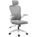 Ergonomic Executive Office Chair with Mesh High Back, Adjustable Lumbar & Headrest, Flip-up Armrests - Grey