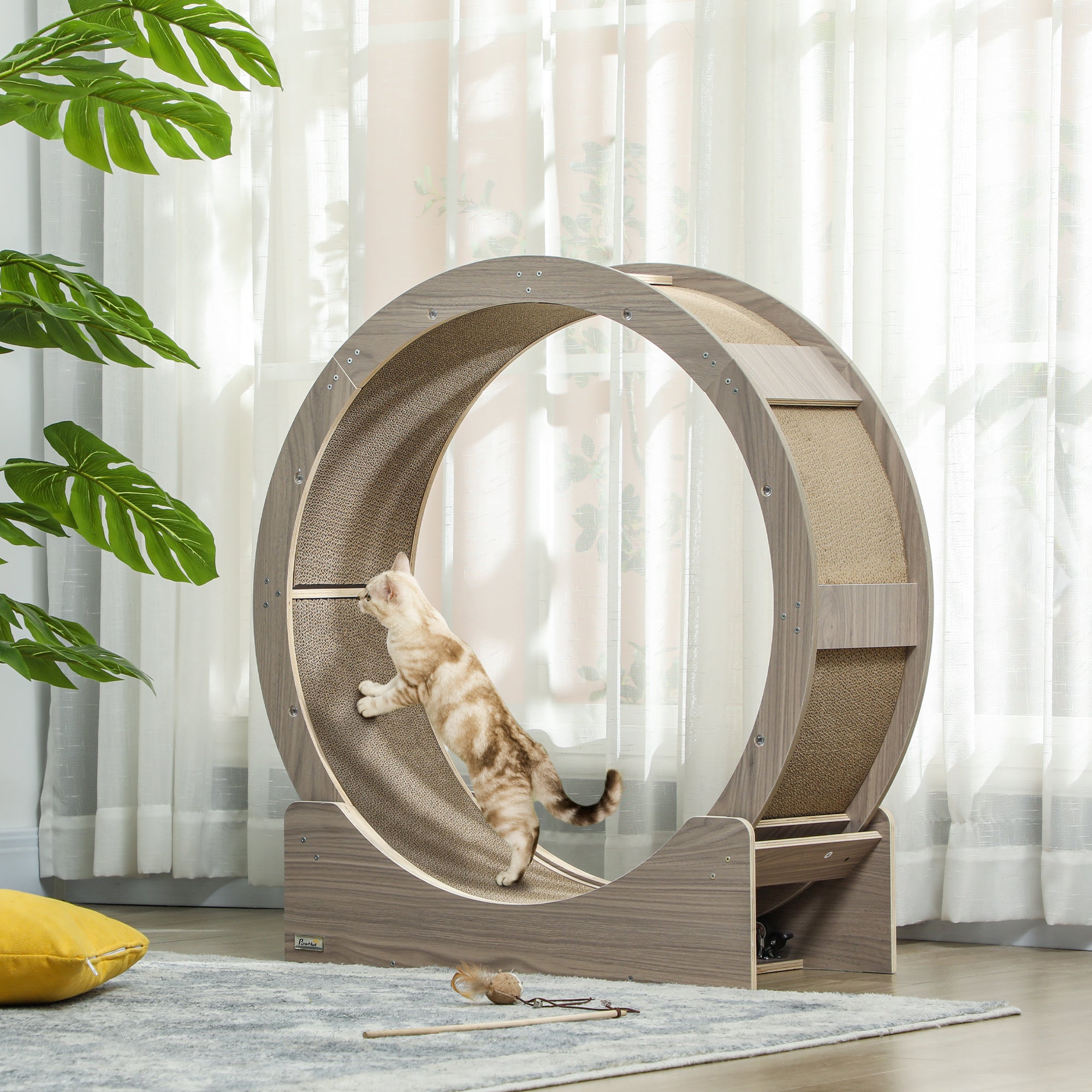 Cat Wheel with Brake, Scratching Pads - Walnut Brown