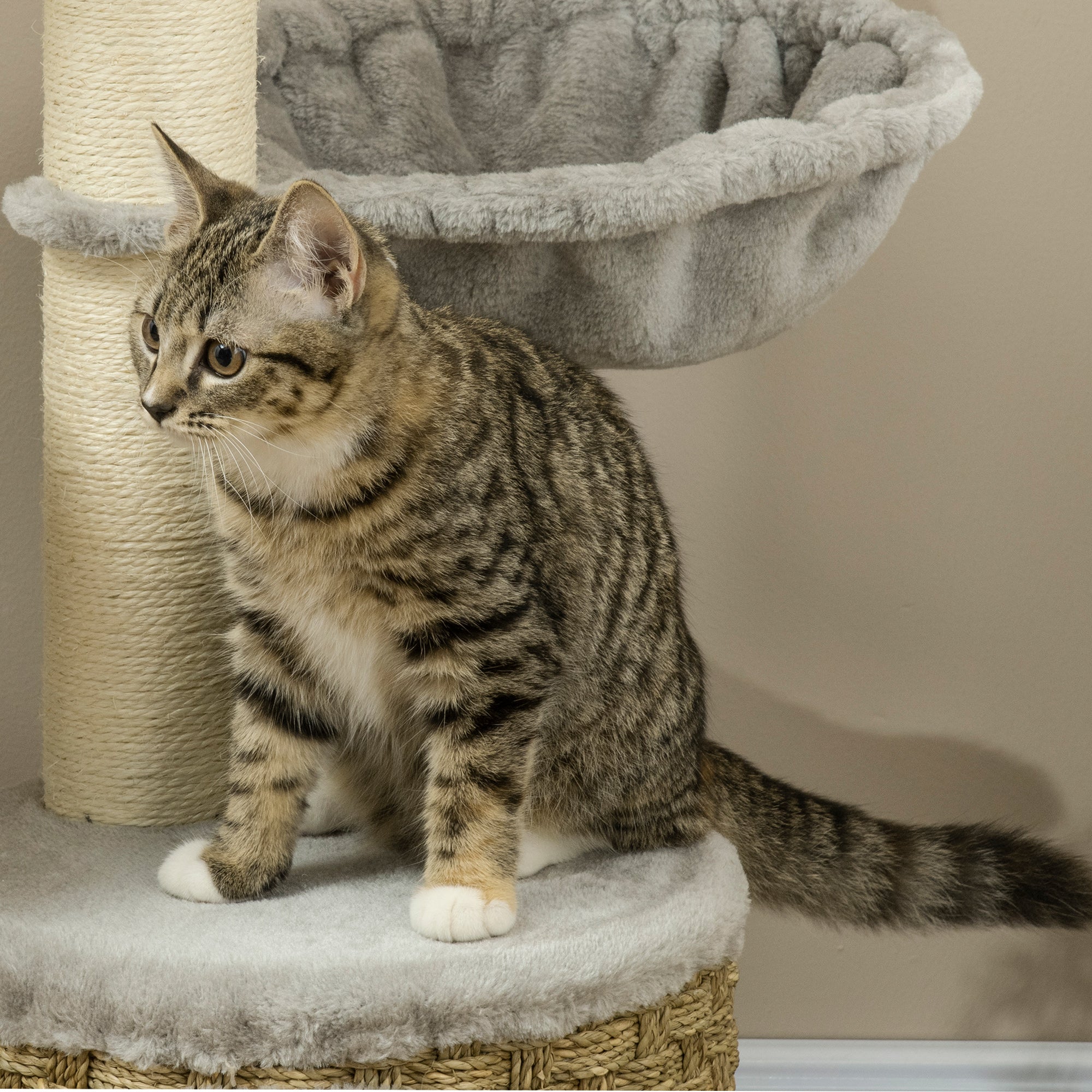 Multi Level Cat Tree, with Scratching Post, Toy Ball, Cat House and Hammock - Light grey