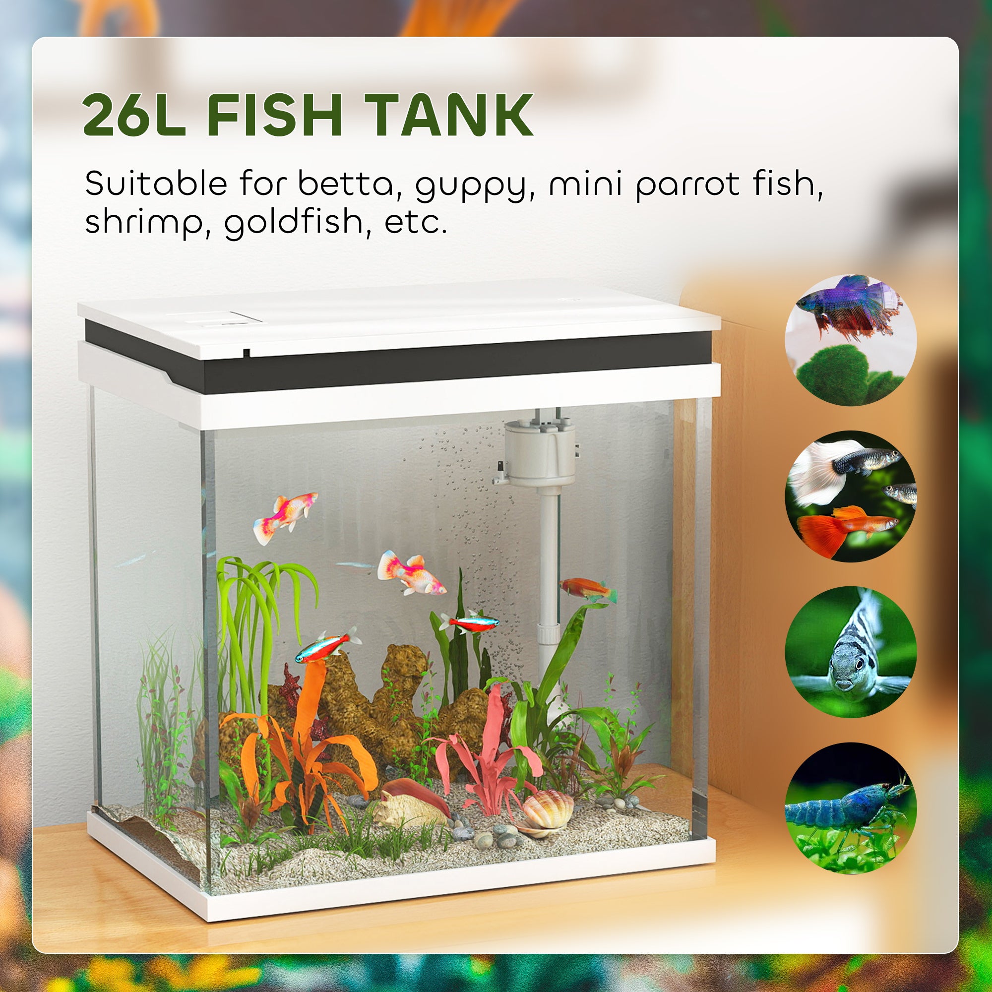 26L Glass Fish Tank with Filter System, LED Lights, Water Pump, White