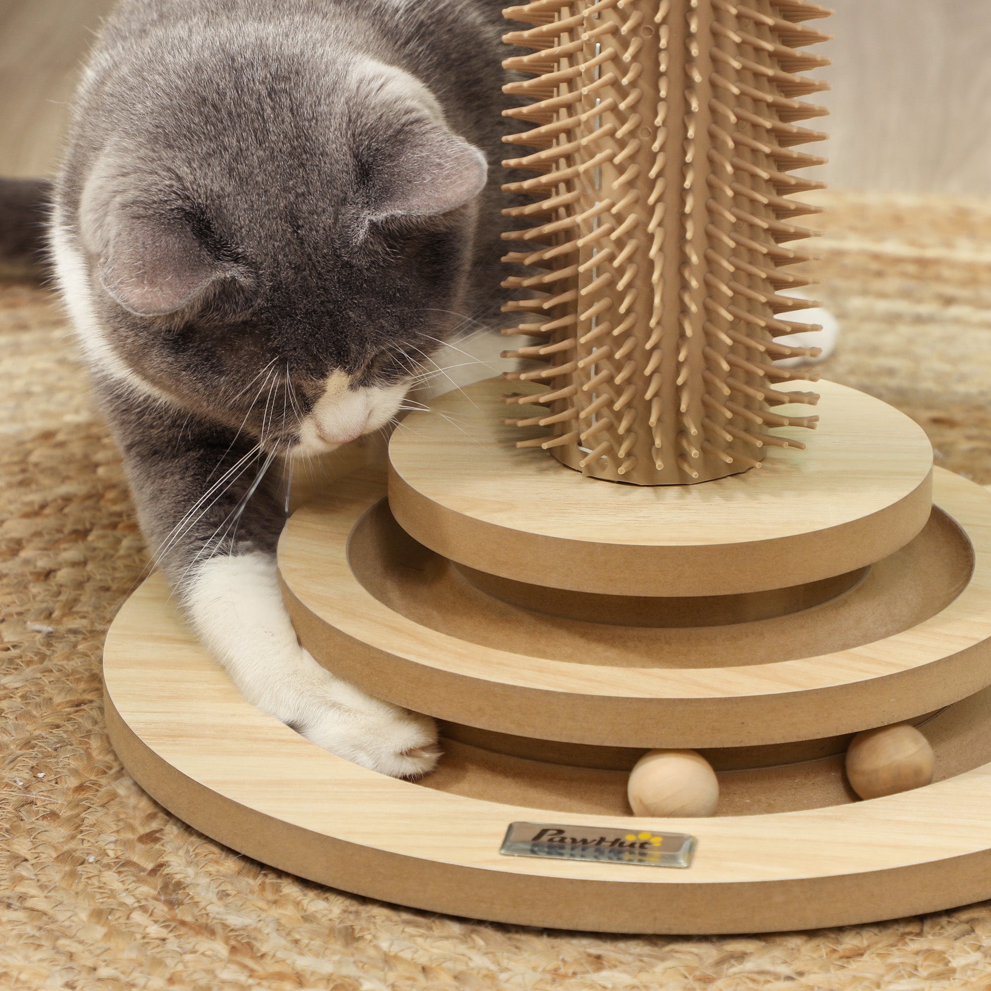 49cm 5 in 1 Cat Scratching Post with Sisal Post, Track Ball, Self Grooming Brush, Hanging Toy Ball, Feather, Oak Tone