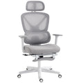 Ergonomic and Adjustable Office Chair - Grey