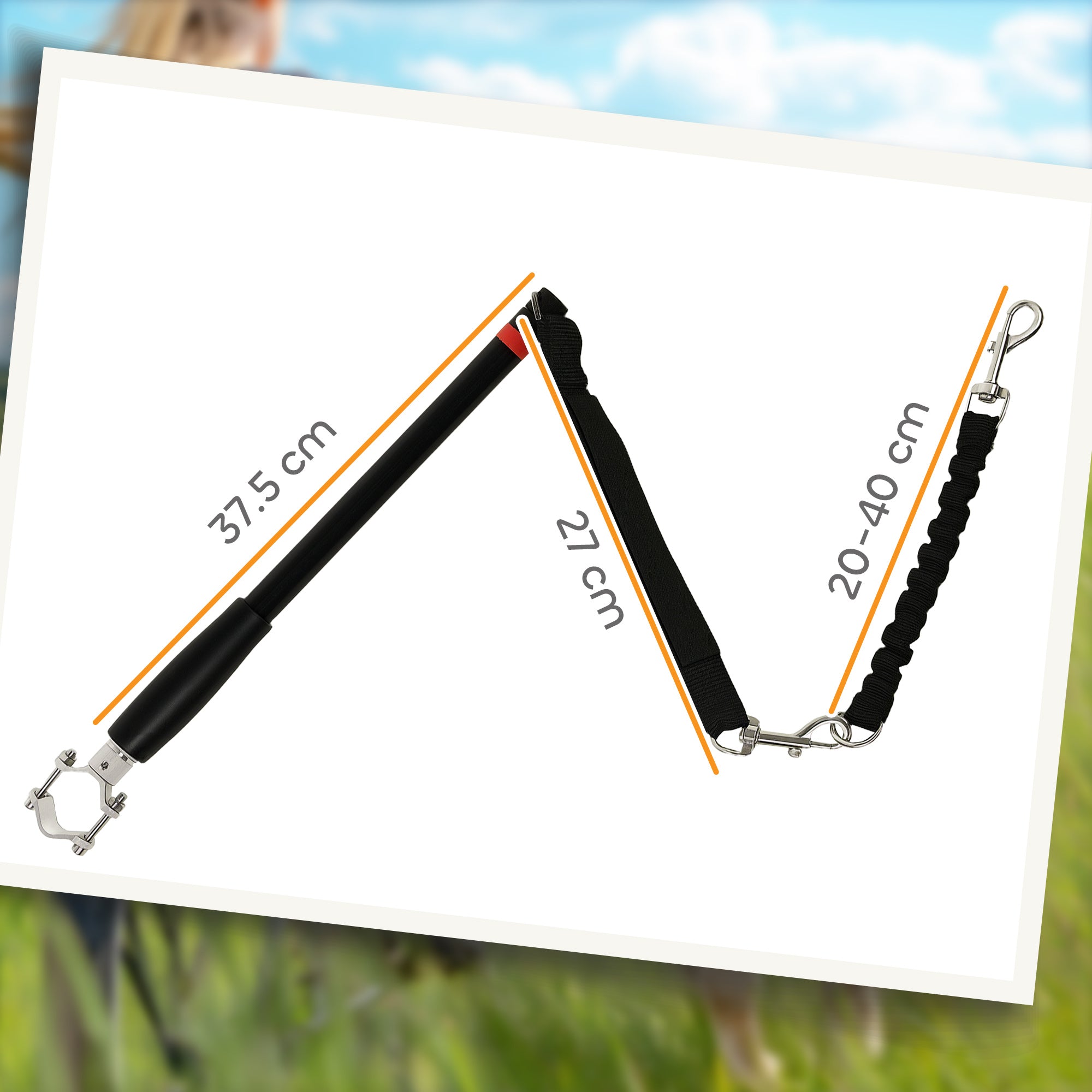 Dog Lead for Bicycle, Dog Leash for Cycling, Training, Jogging, Black