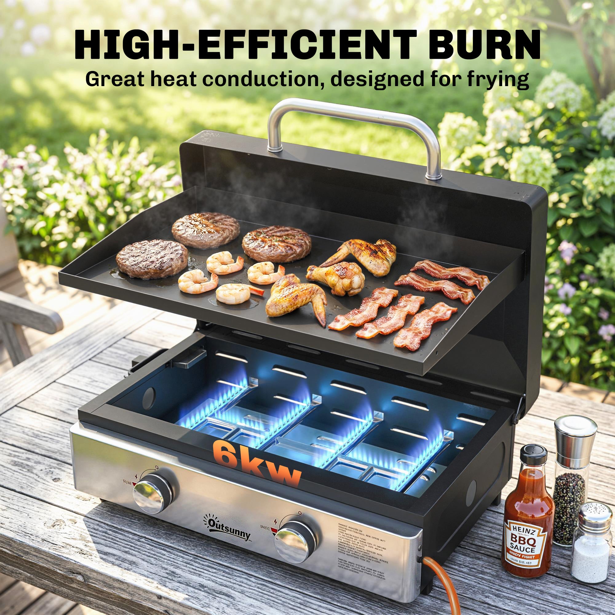 2 Burner Grill Griddle, Portable Gas Plancha, 6 kW, Tabletop Gas BBQ with Grease Cup for Camping Picnic Patios, Black