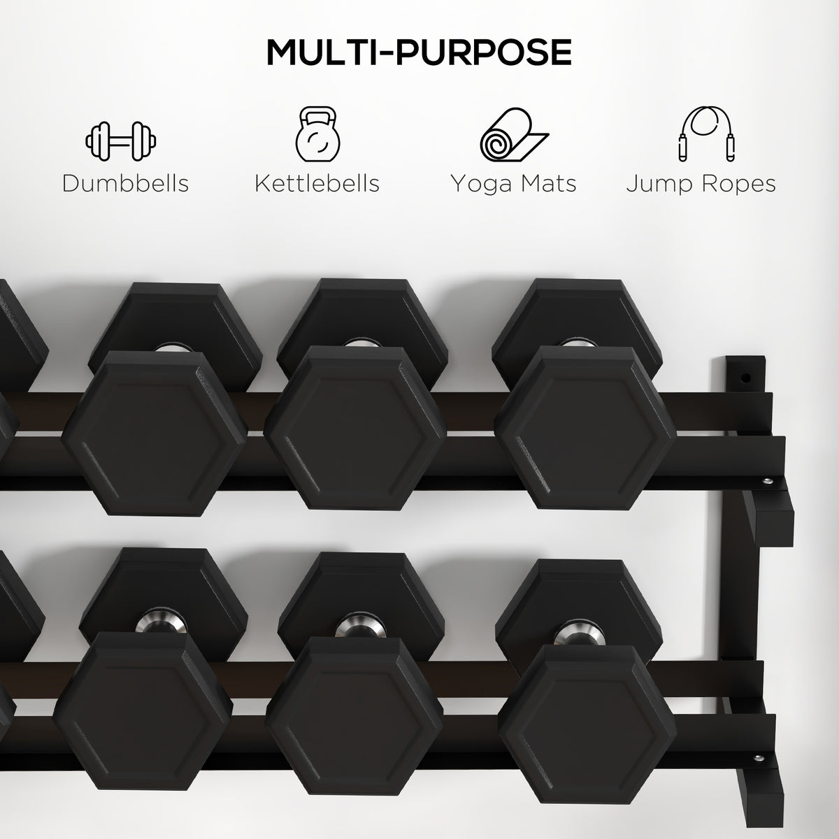 Wall-Mounted Dumbbell Rack, 2-Tier Weight Stand, Space-Saving and Multi-Functional Steel organiser for Home Gym, Black