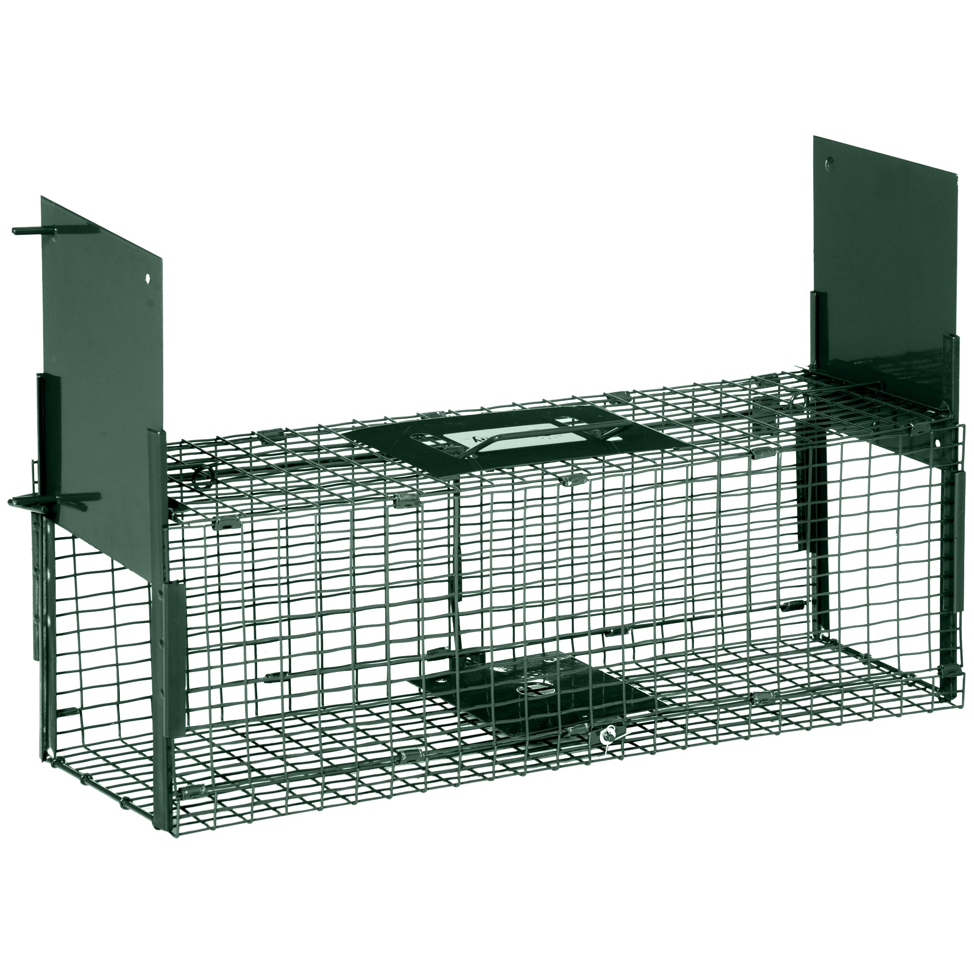 Animal Trap Cage, Humane Rat Trap with Double Doors, Squirrel Trap for Indoors & Outdoors, Catch and Release Mice, Rats, Rodents, 60 x 18 x 20 cm, Green