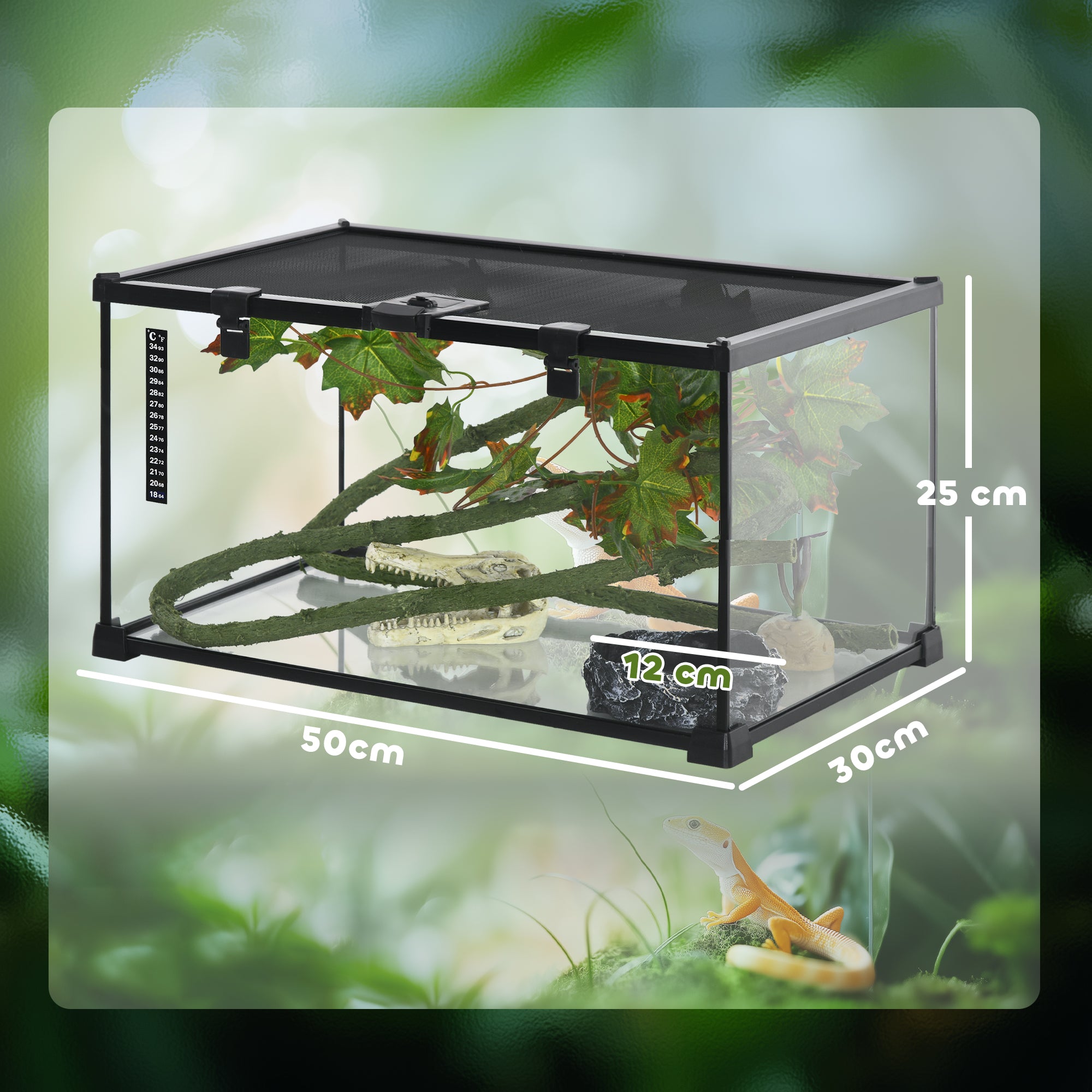 Glass Reptile Terrarium with Decor Kit, Breeding Tank with Thermometer for Small Animals, 50 x 30 x 25cm, Heated - Black