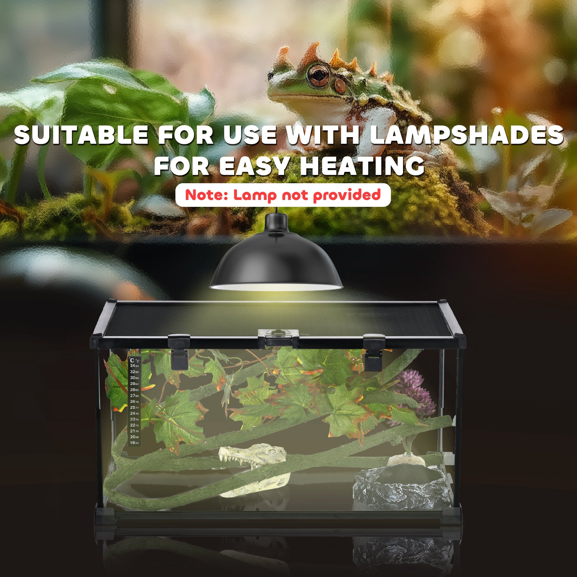 Glass Reptile Terrarium with Decor Kit, Breeding Tank with Thermometer for Small Animals, 50 x 30 x 25cm, Heated - Black
