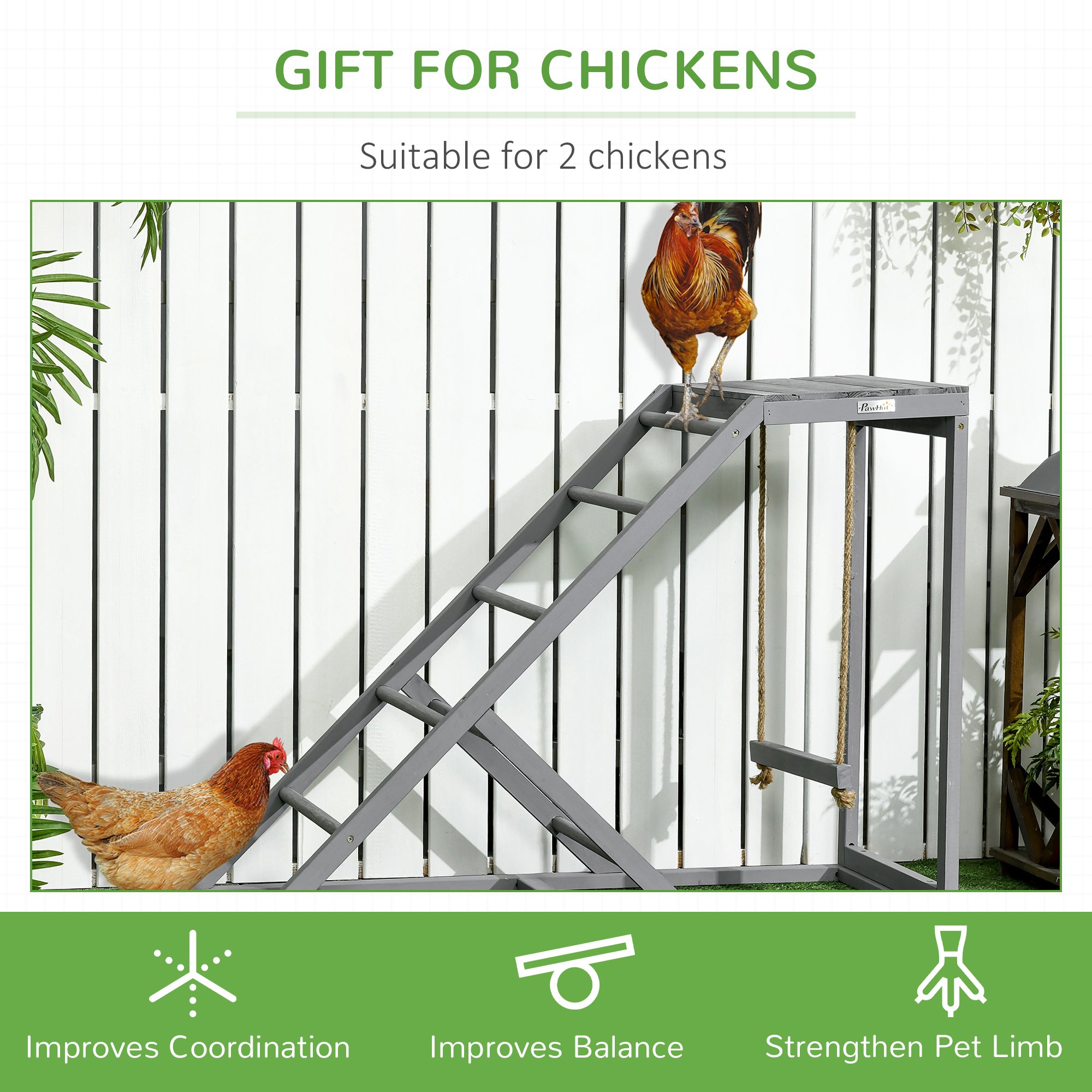 Walk In Chicken Run with Chicken Activity Shelf and Cover, 3 x 2 x 2m