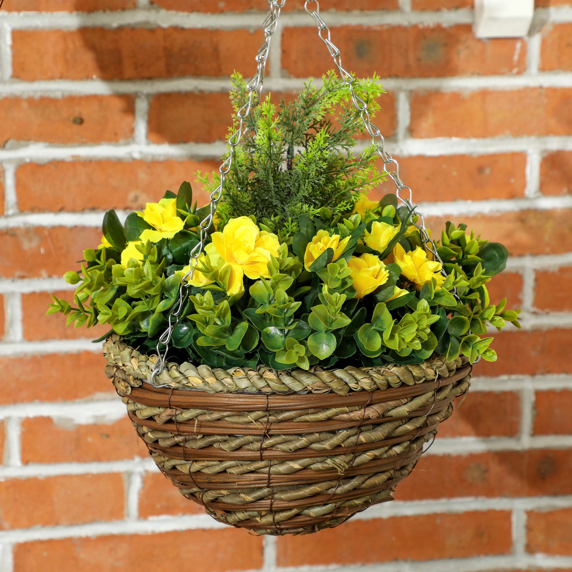 Set of Two Hanging Lisianthus Flower Pots - Yellow/Green