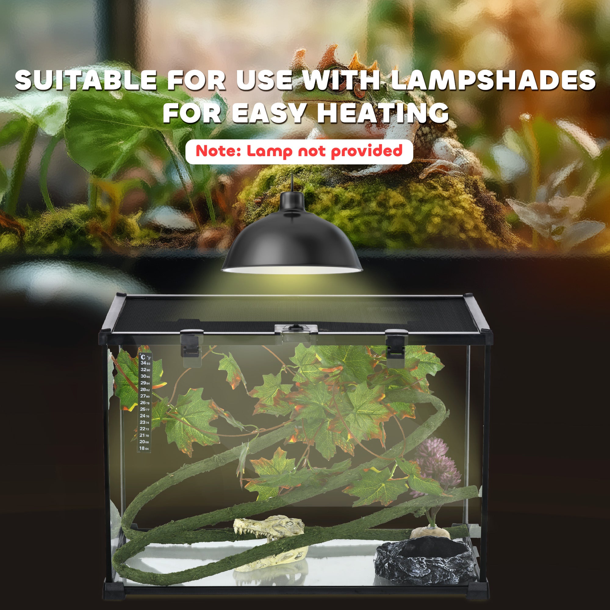 Glass Reptile Terrarium with Decor Kit, Breeding Tank with Thermometer for Small Animals, 50 x 30 x 35cm, Heated - Black