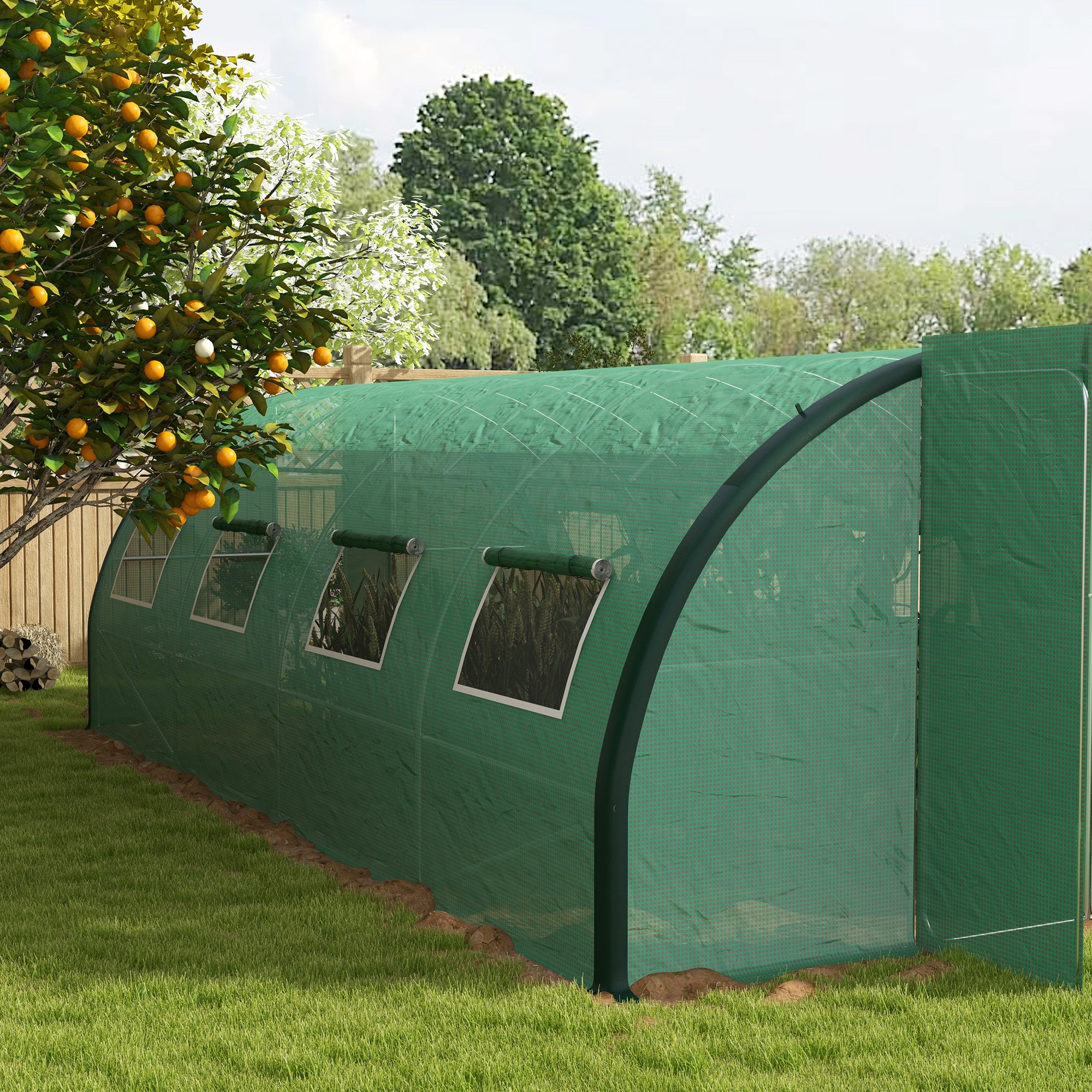 Polyethylene Upgraded Structure Walk-in Polytunnel Greenhouse, 6 x 3(m), Green