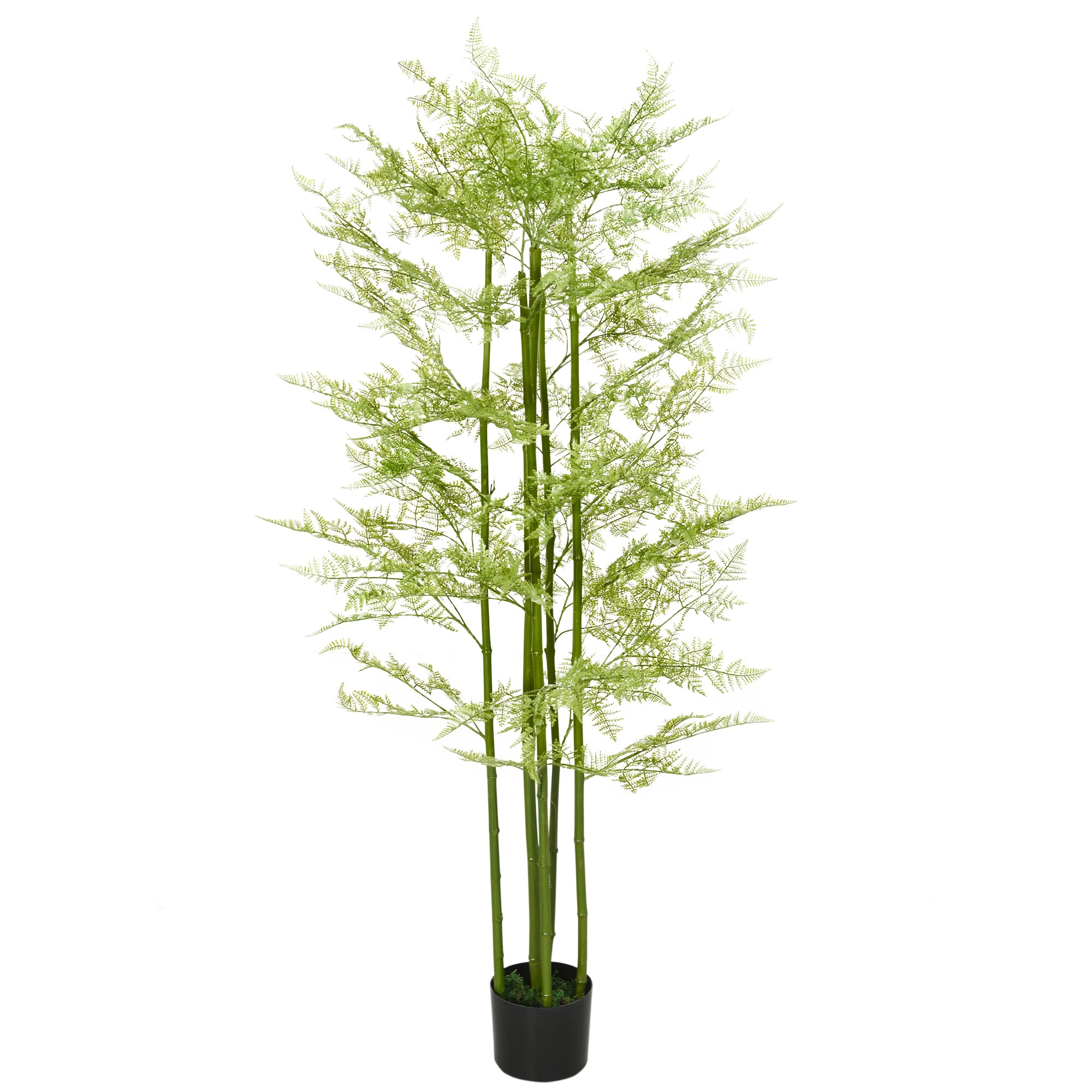 Decorative Artificial Plants Asparagus Fern Tree in Pot Fake Plants for Home Indoor Outdoor Decor, 155cm