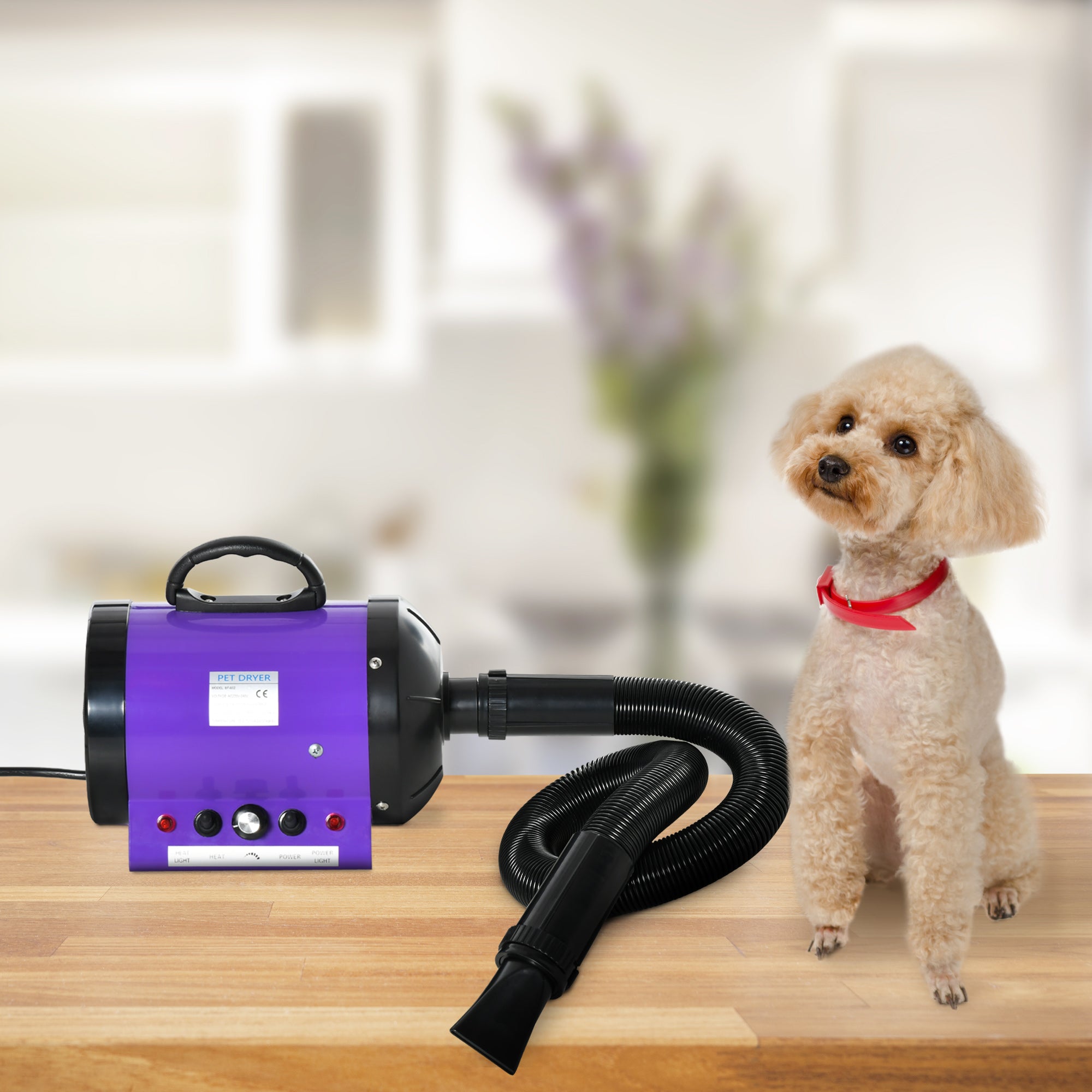 2800W Dog Hair Dryer Pet Grooming Blaster Water Blower Dryer w/ 3 Nozzles, Purple