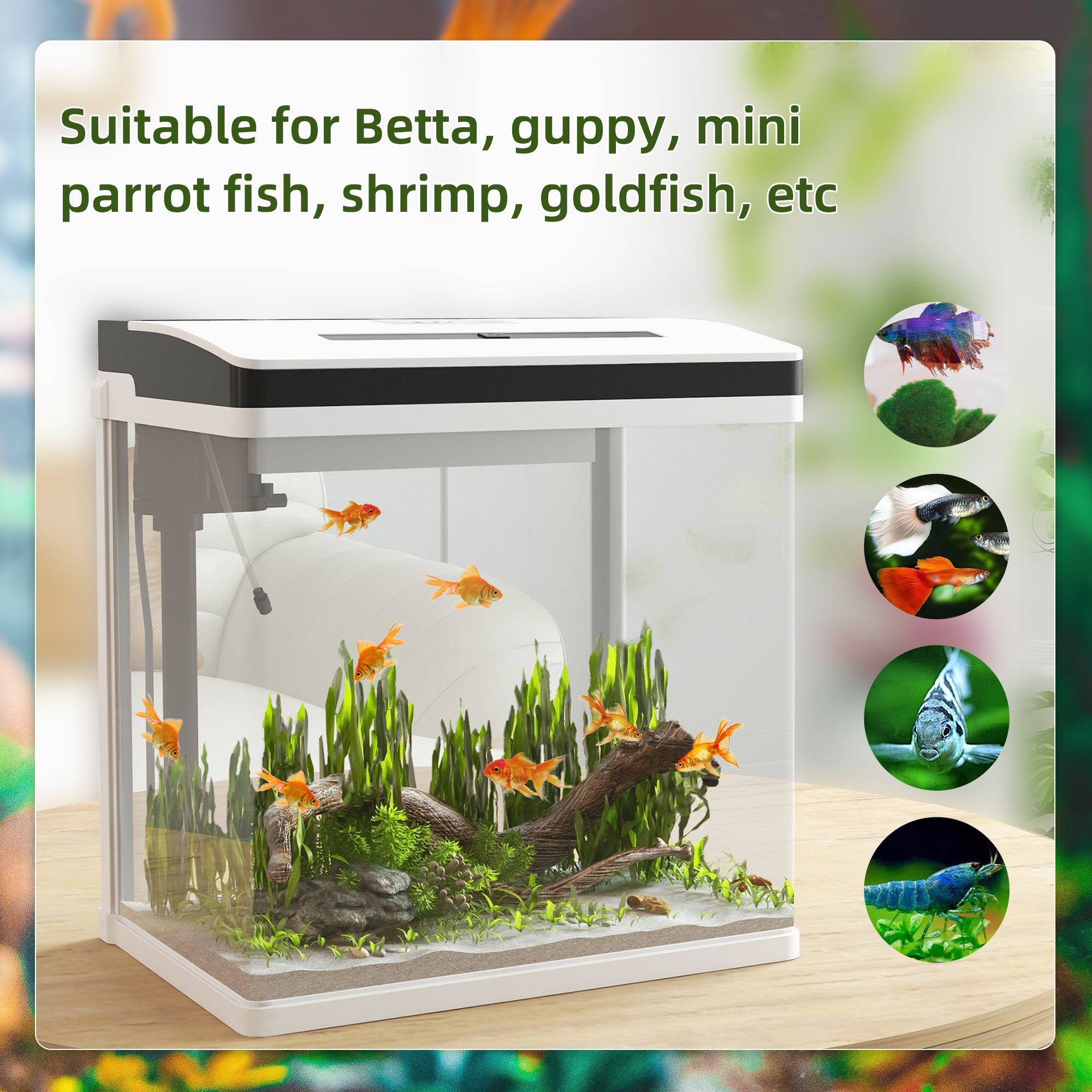 28L Glass Aquarium Fish Tank with LED Lighting and Filter for Betta, Guppy, Shrimp - White