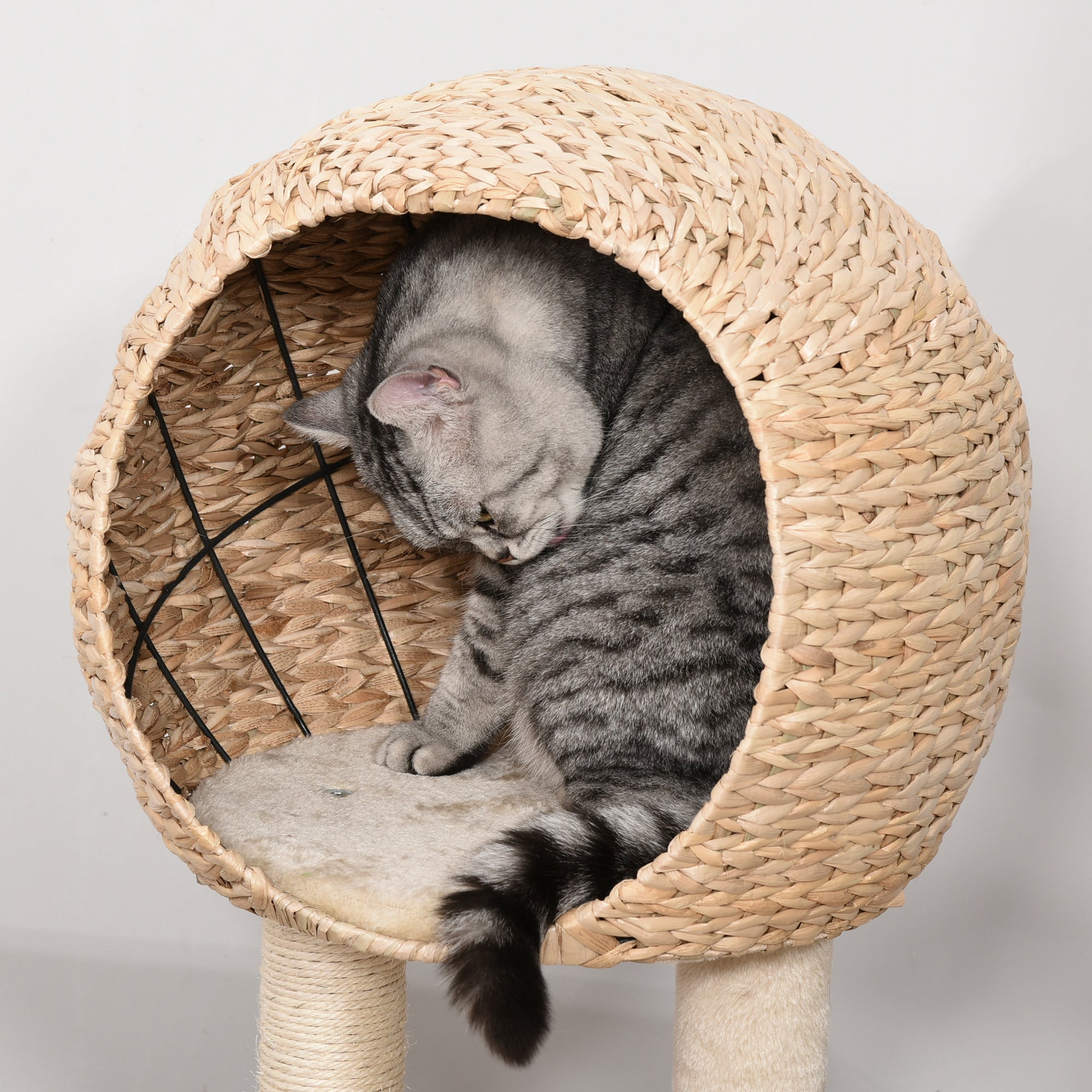 Cat tree Cat Tower 100cm Climbing Activity Center with Sisal Scratching Post Condo Perch Hanging Balls Teasing Rope Toy Cushion