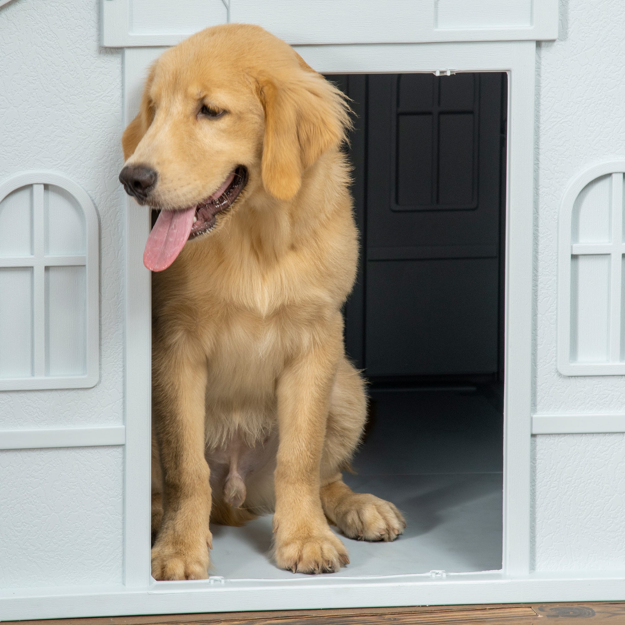 Plastic Weatherproof Dog House, Blue