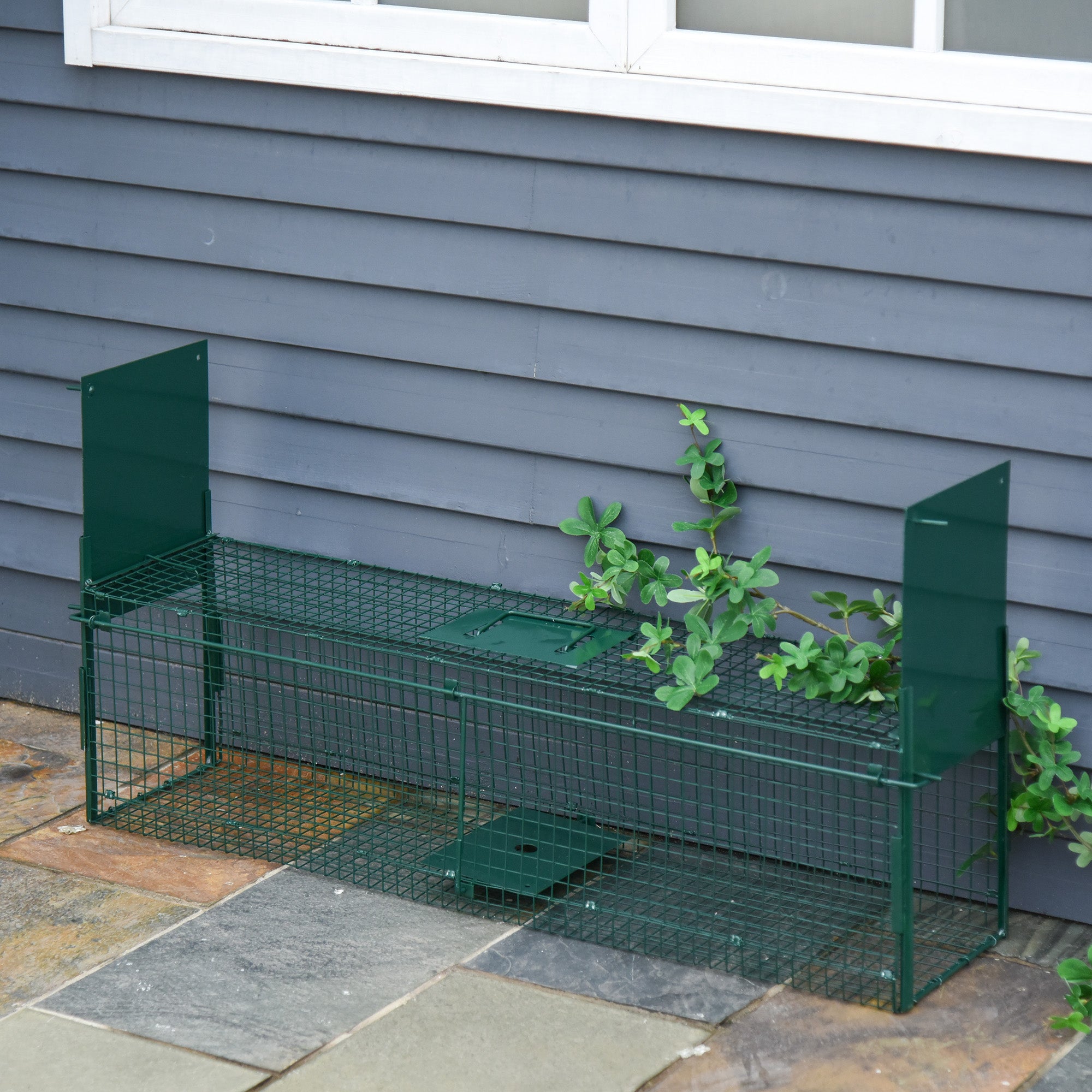 2-Door Humane Live Trap for Small Animals, Animal Trap for Rat Mise Mink Rabbit Raccoon Gopher Squirrel, Dark Green