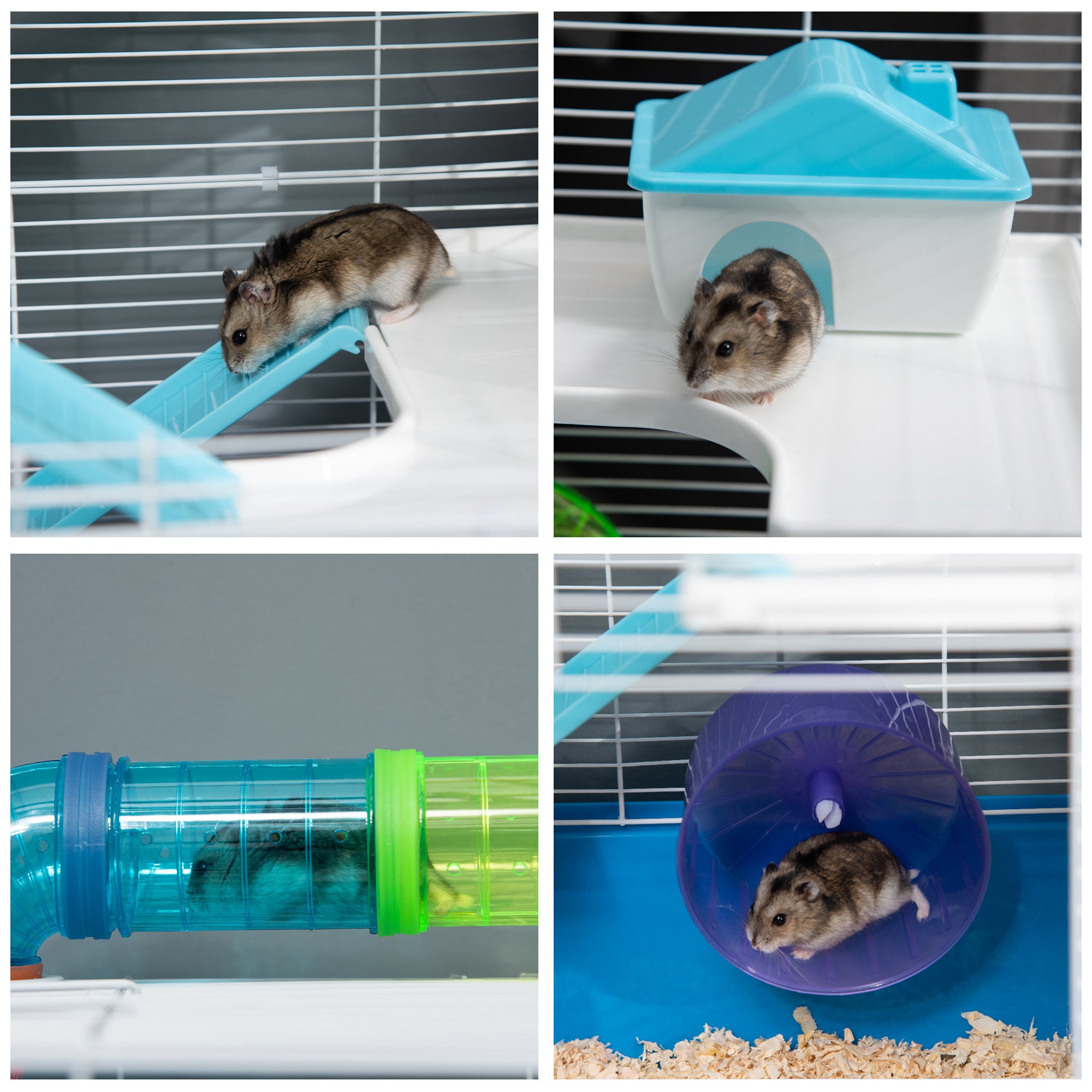 Large 5-Level Hamster Cage with Tunnel Tube, Exercise Wheel & Water Bottle - Blue
