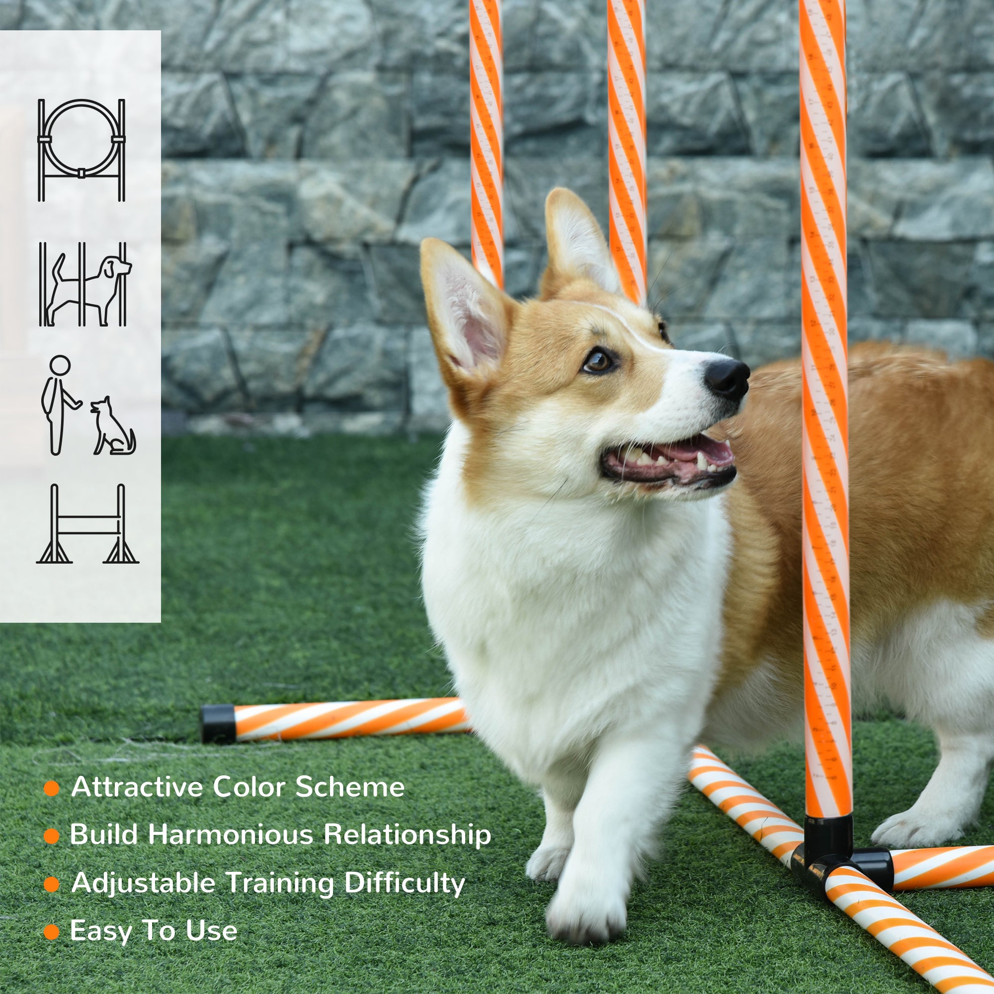 Pet Agility Training Equipment Dog Play Run Jump Hurdle Bar Obedience Training Set with Adjustable Height Jump Ring Square Pause Box Carry Bag