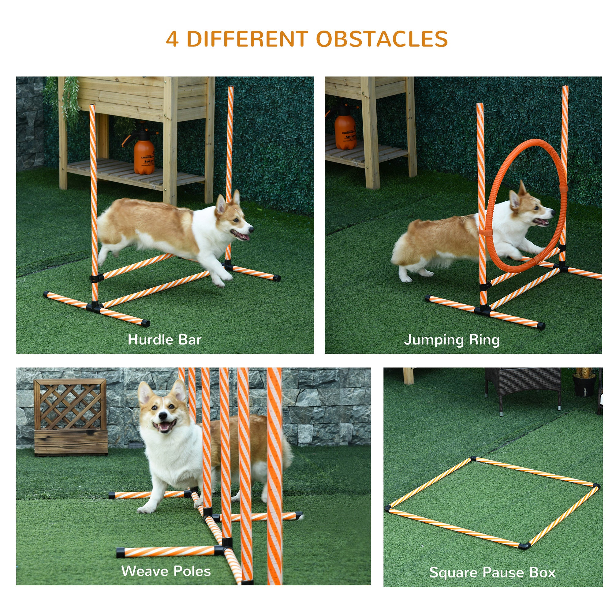 Pet Agility Training Equipment Dog Play Run Jump Hurdle Bar Obedience Training Set with Adjustable Height Jump Ring Square Pause Box Carry Bag