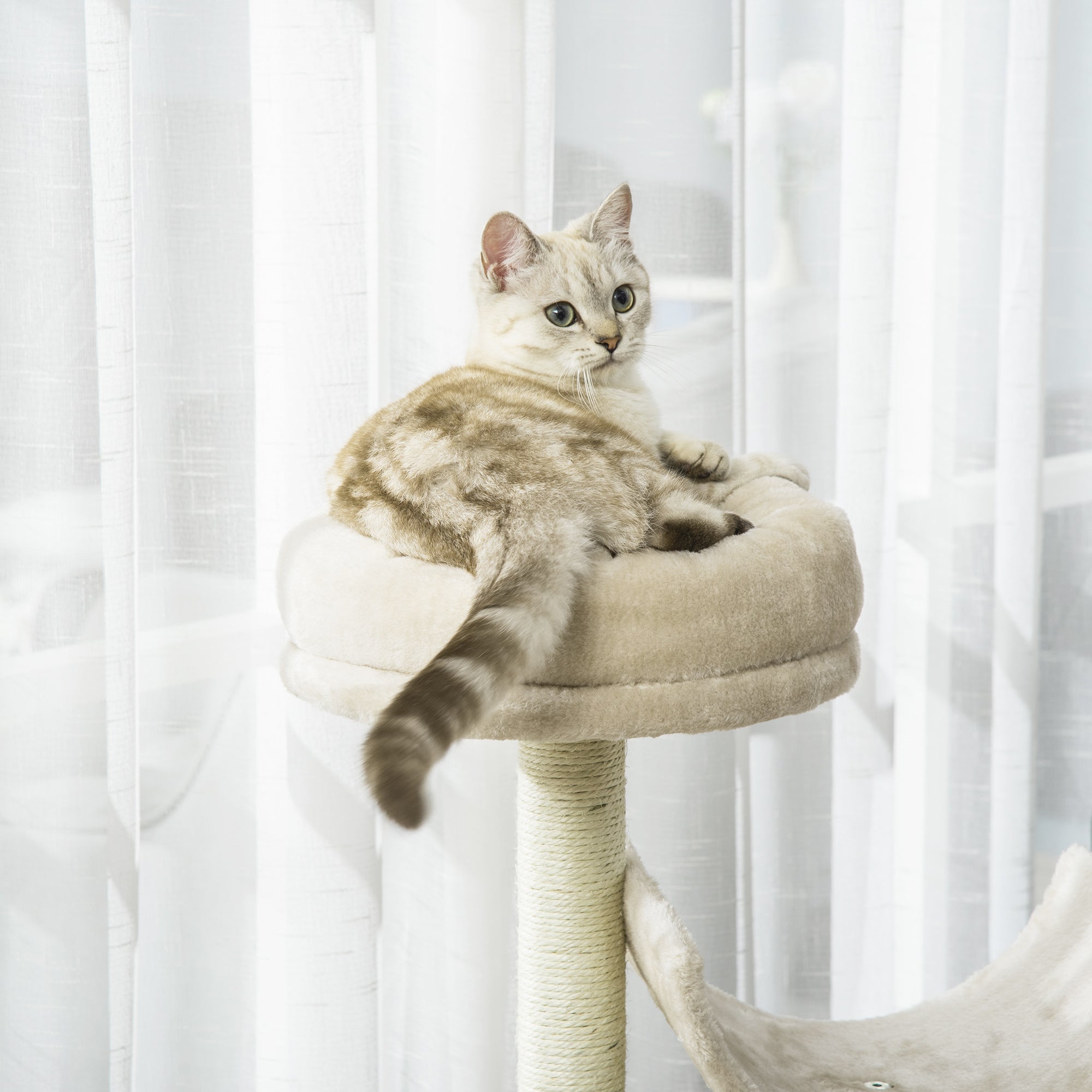 Cat Tree, Plush, 50Lx40Wx105H cm-Beige