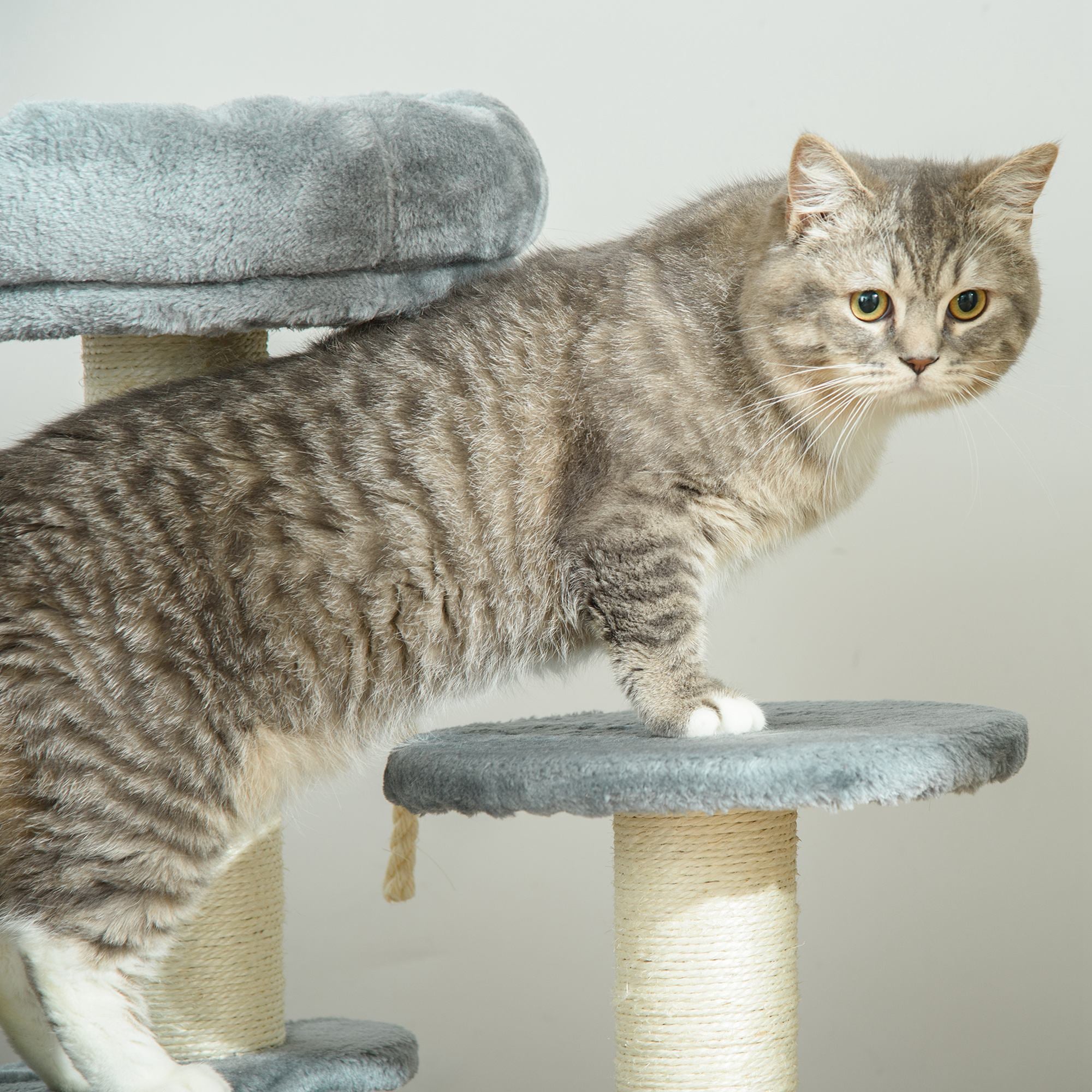 65 cm Cat Tree Kitty Scratcher Kitten Activity Center Scratching Post Playhouse 2 Perch w/Hanging Sisal Rope Grey