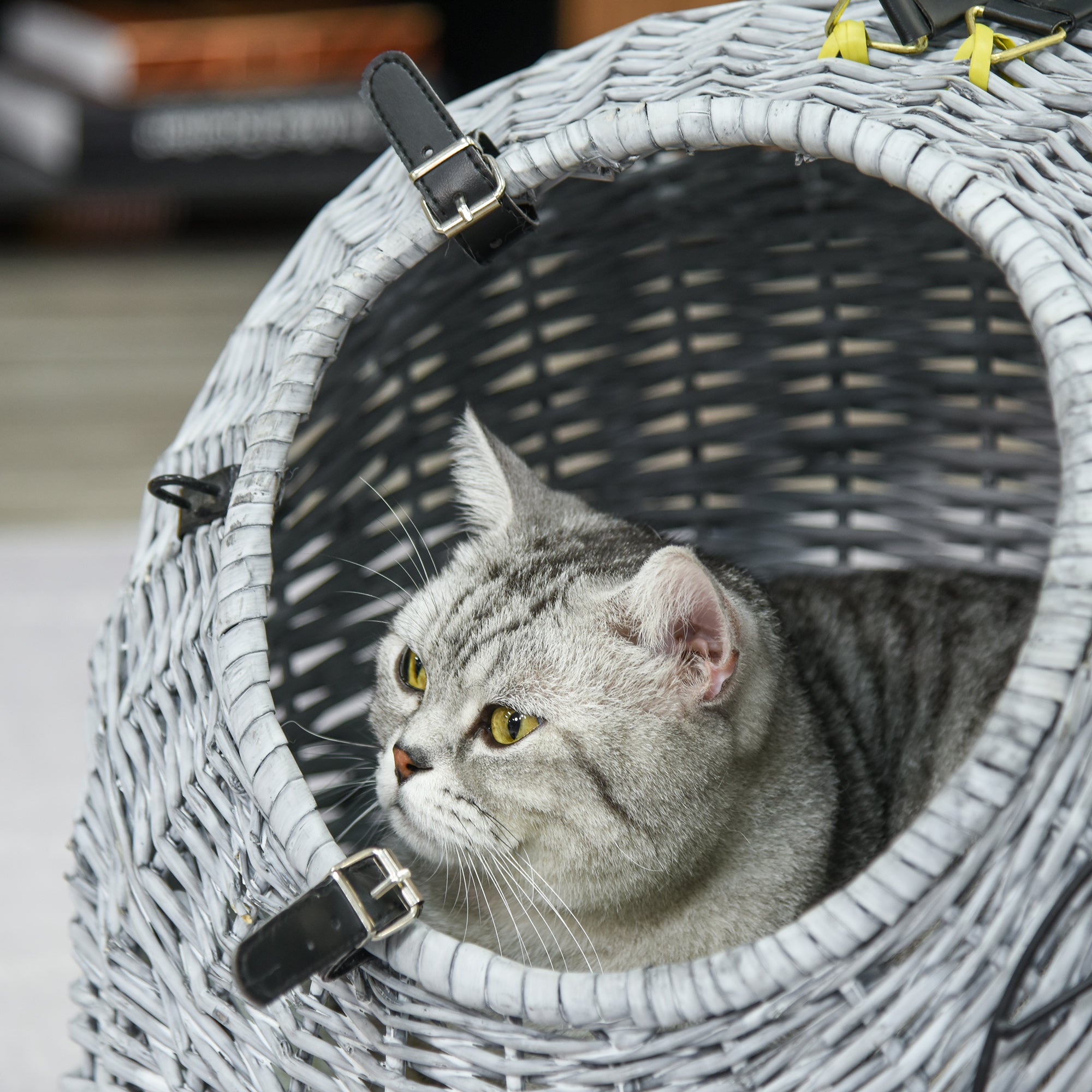 Wicker Pet Carrier Basket Cat Kitten Bed Portable Travel Cage w/ Soft Cushion Handle Grey 50 x 40 x 40 cm