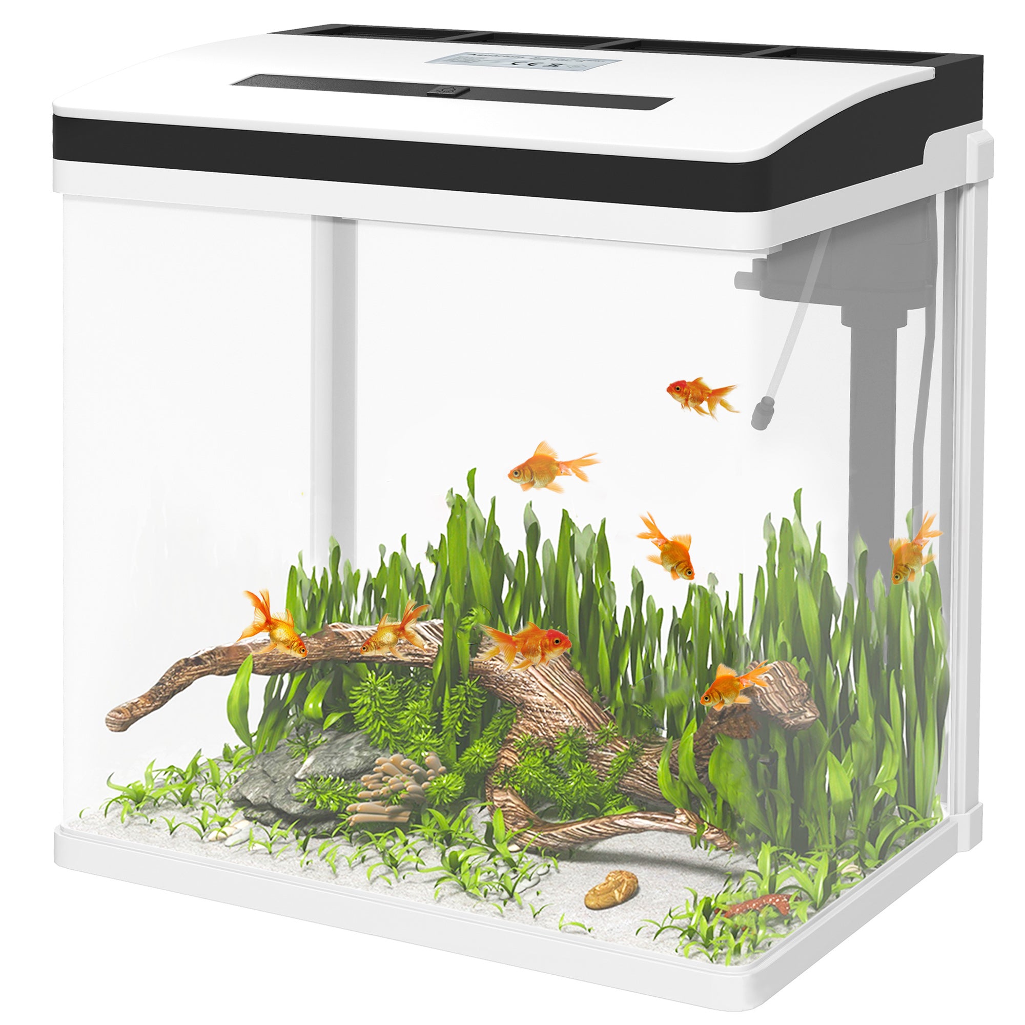 28L Glass Aquarium Fish Tank with Filter, LED Lighting, for Betta, Guppy, Mini Parrot Fish, Shrimp, 38 x 26 x 39.5cm