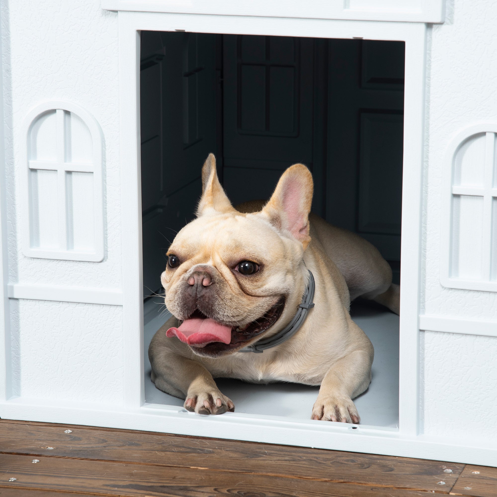 Plastic Weatherproof Dog House, Blue