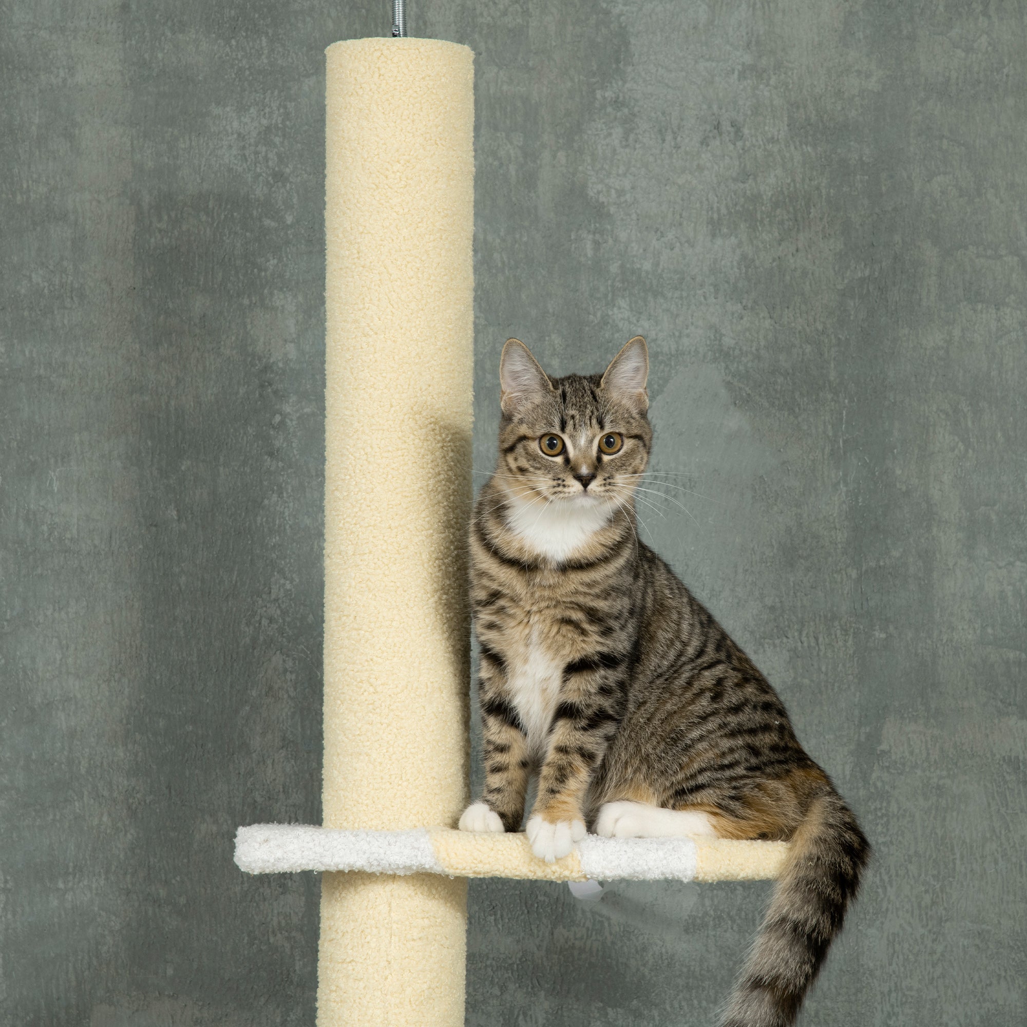 260cm Cat Tower Cat Tree, Floor to Ceiling, Height Adjustable with Anti-slip Kit and Fish-shaped Scratching Post Ball, Yellow