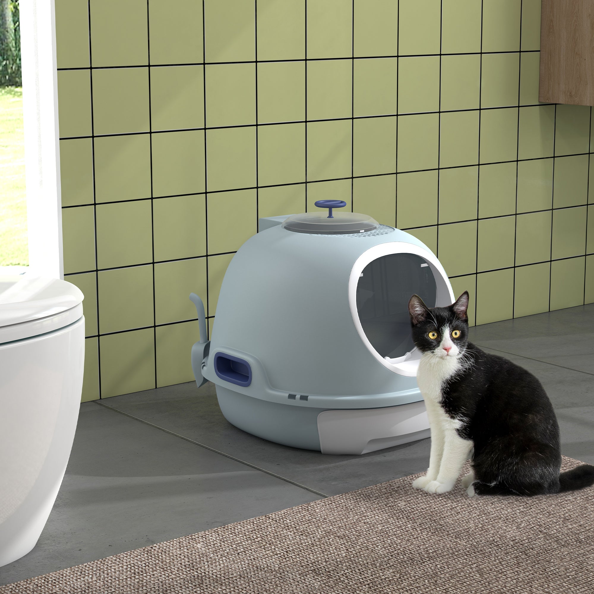 Cat Litter Box With Litter Scoop, Drawer-Type Easy To Clean, Skylight, Light And Easy To Move