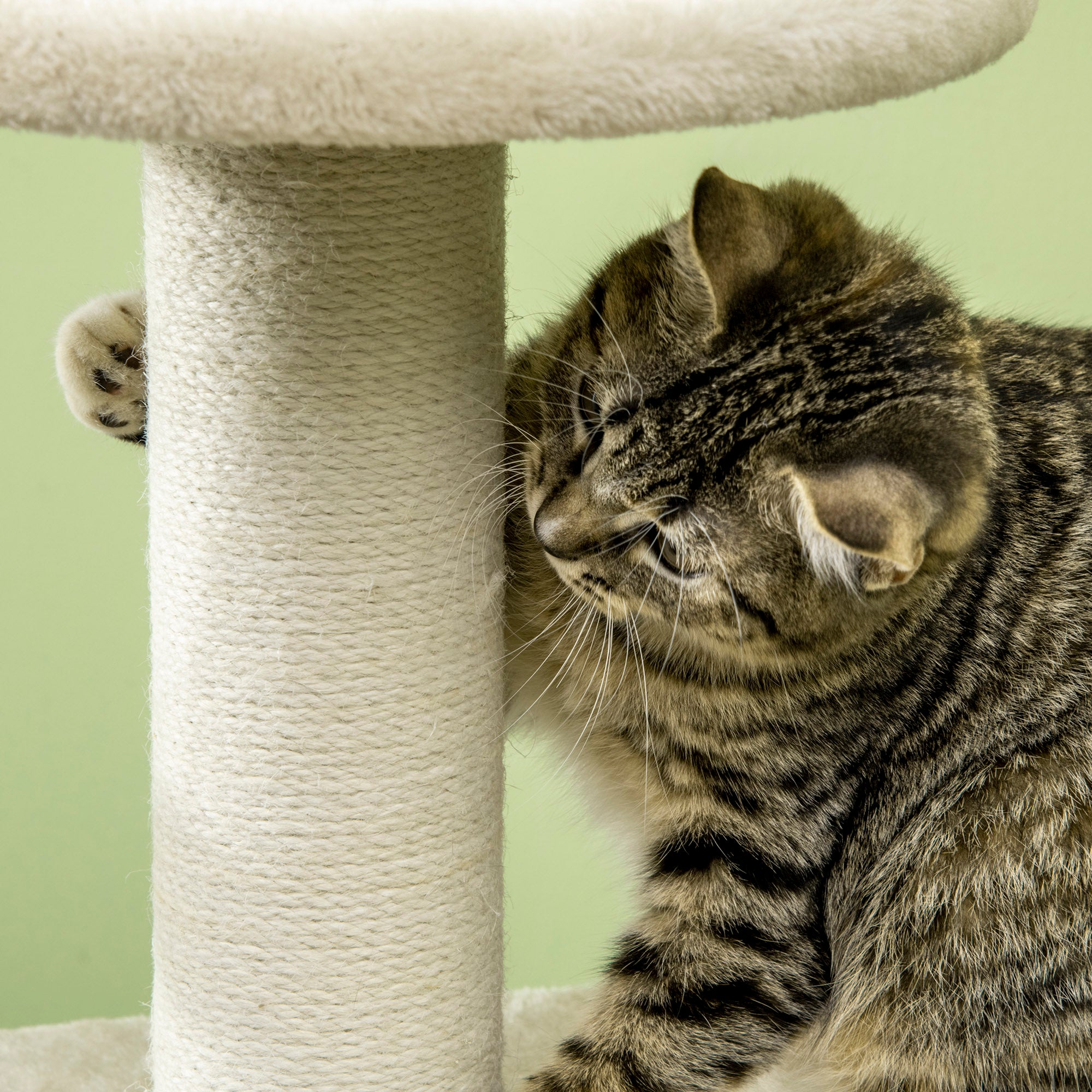 Cat Tree, Climbing Kitten Cat Tower Activity Center for Indoor Cats with Jute Scratching Post, Condo, Kitten Stand, Hanging Ball Toy, Beige