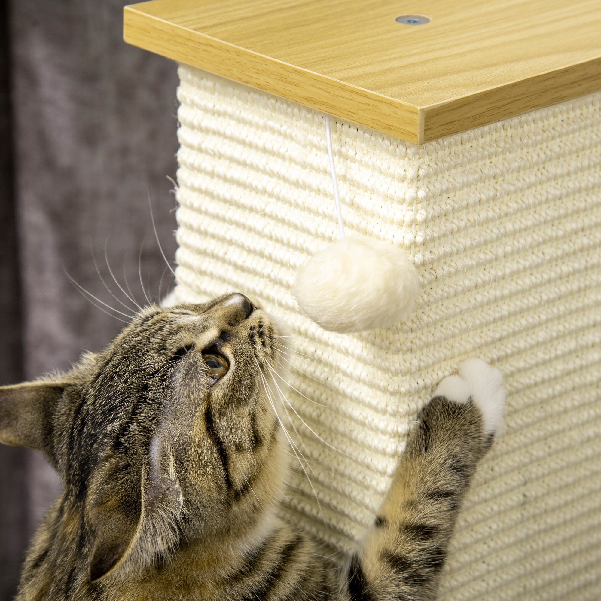 80 cm Scratching Post Cat Tree with Play Ball, Scratching Post Made of Sisal Rope