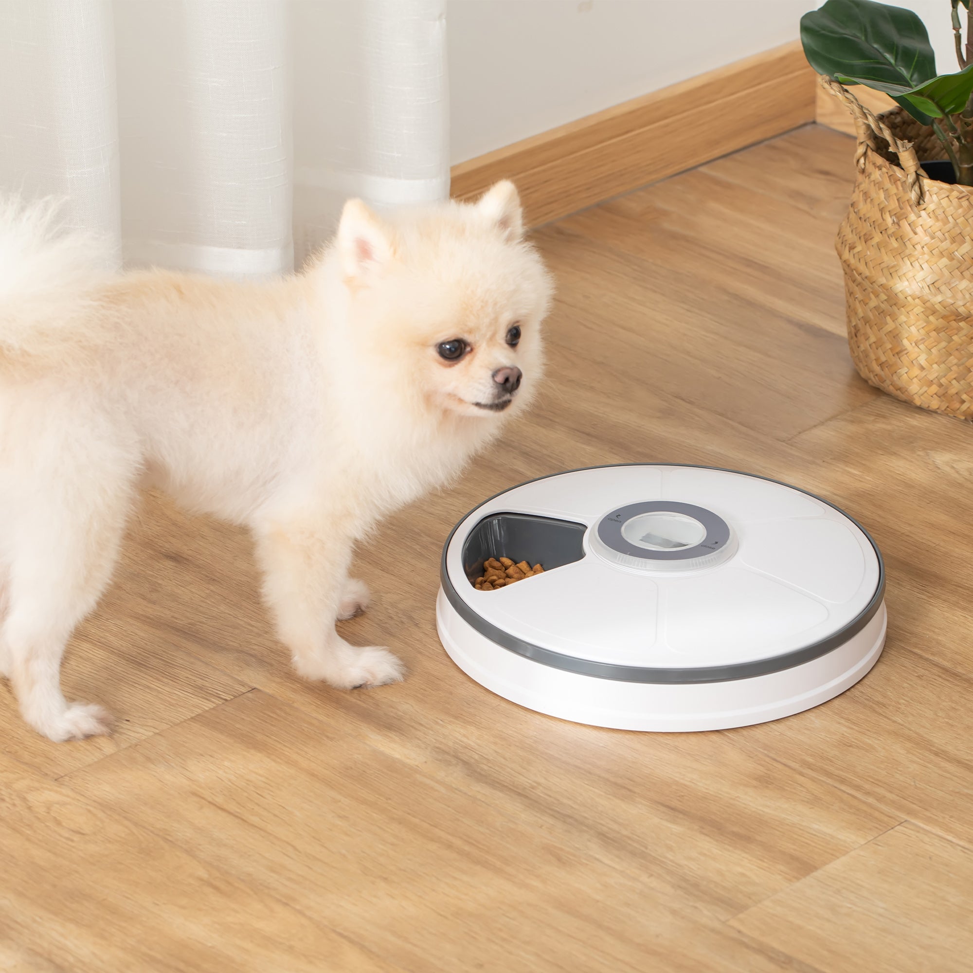 Automatic Pet Dog Cat Feeder with Digital Timer, 6-Meal Food Dispenser Trays for Wet or Dry Pet Food, LED Display Power by Battery