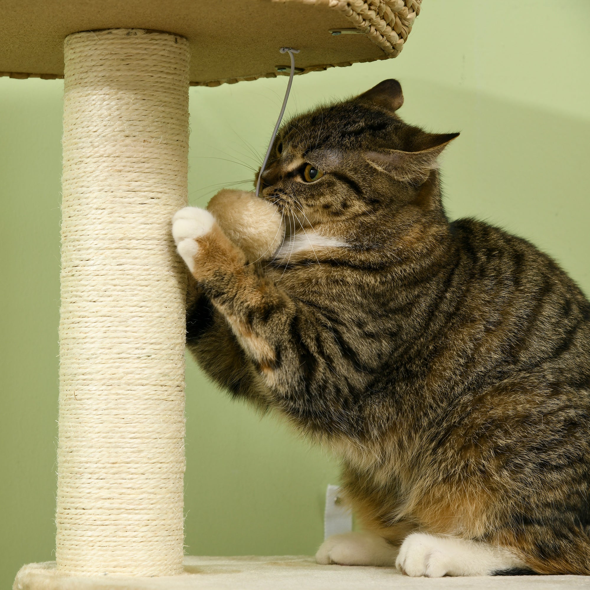 Cat Tree Tower, Climbing Activity Centre, Kitten Furniture w/ Cattail, Bed, House, Sisal Post, Hanging Ball, Natural Tone