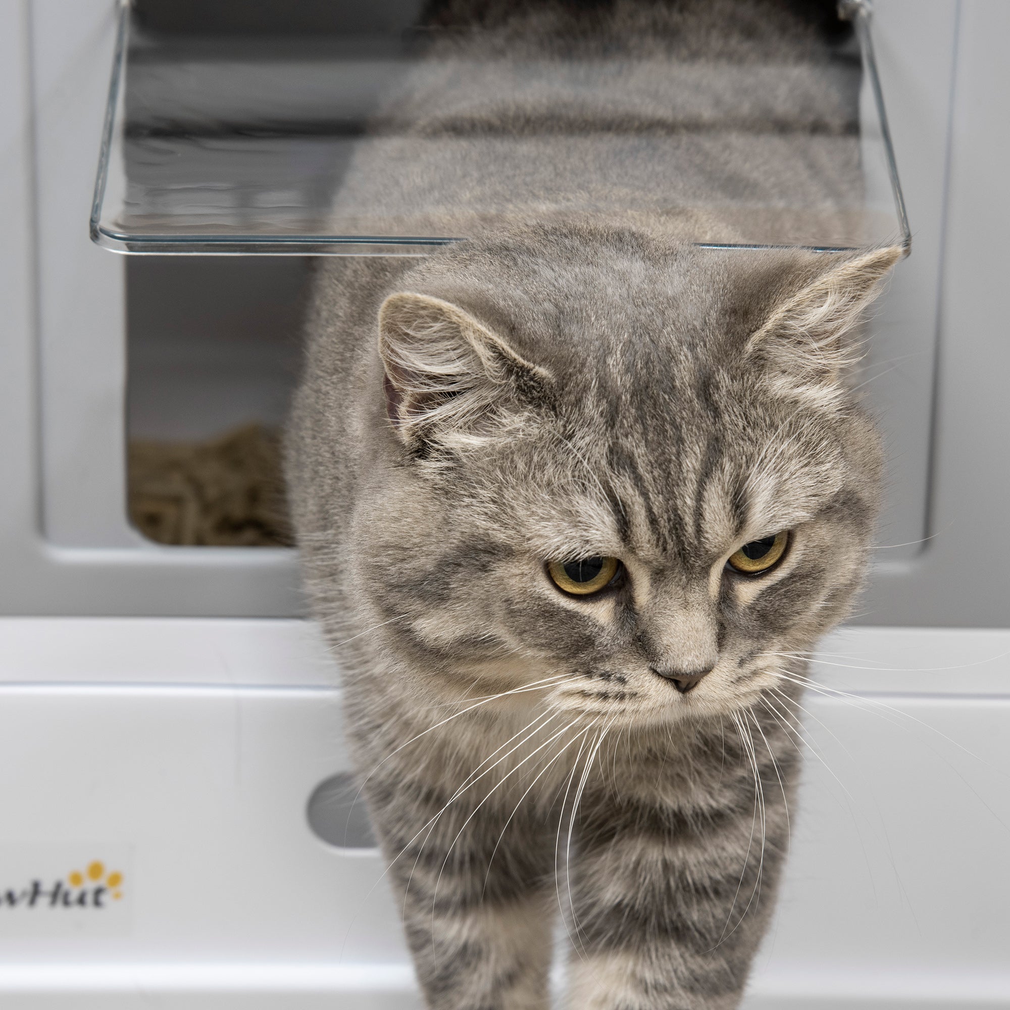 Hooded Cat Litter Box Scoop Included, Litter Tray with Front Entry Top Exit, Portable Pet Toilet with Large Space, Easy Assemble, Grey