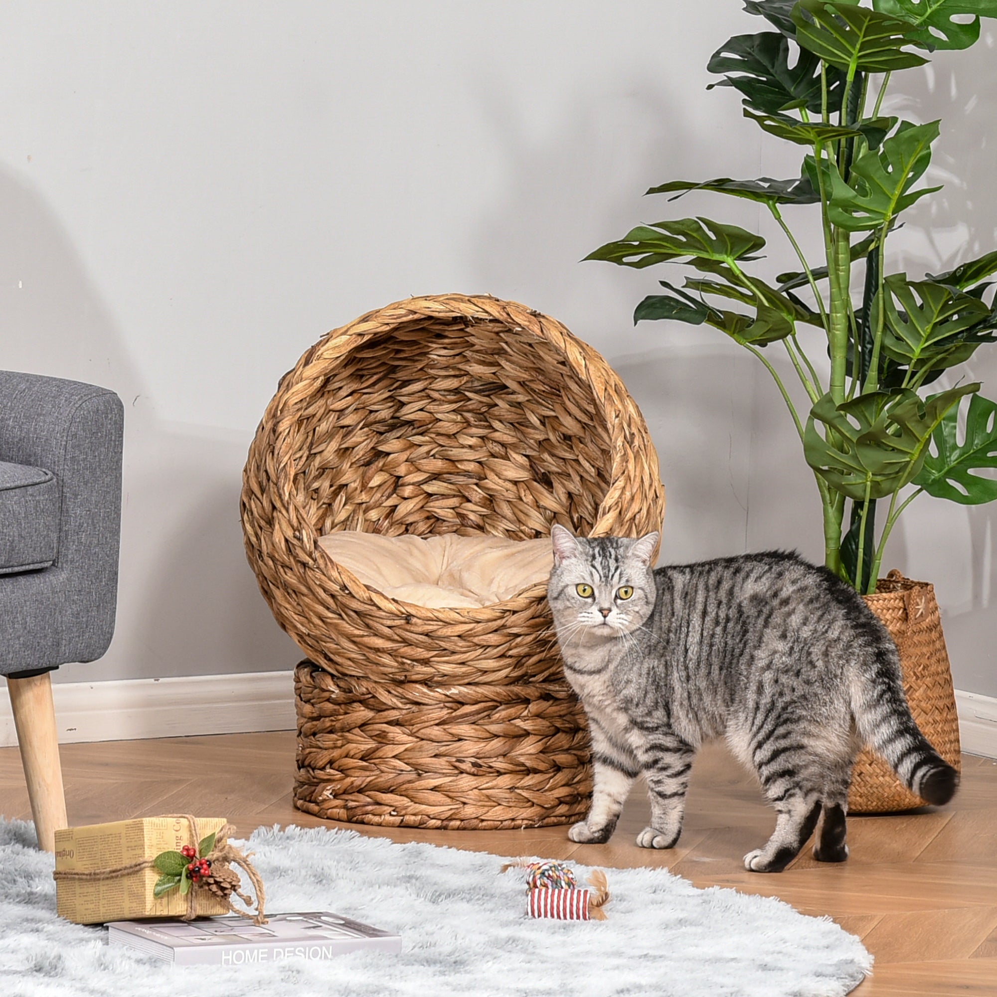 Wicker Cat Bed, Raised Rattan Cat Basket with Cylindrical Base, Soft Washable Cushion, Brown, 42 x 33 x 52 cm