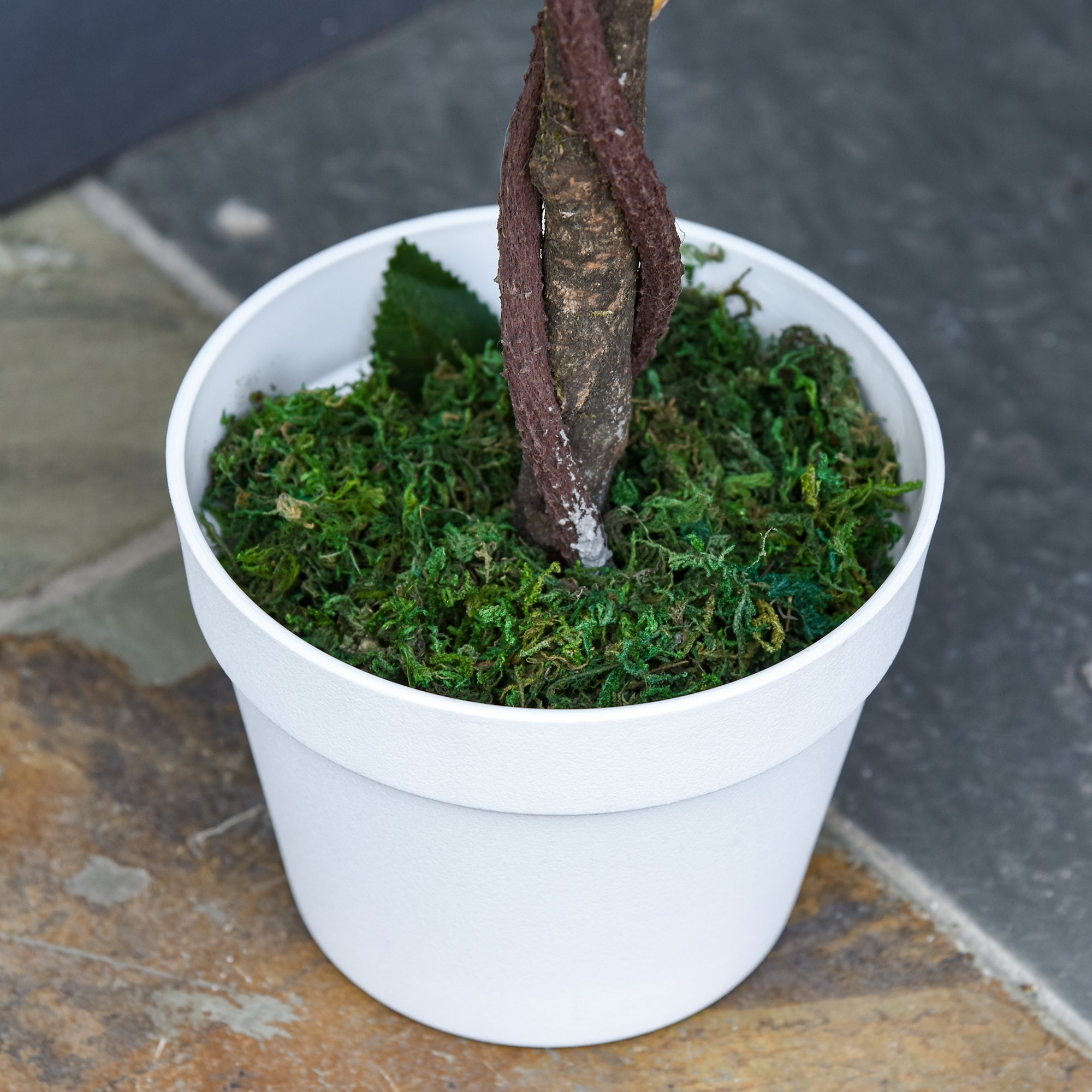 Set of 2 Artificial White Rose Plants in Cement Pots 90cm - White