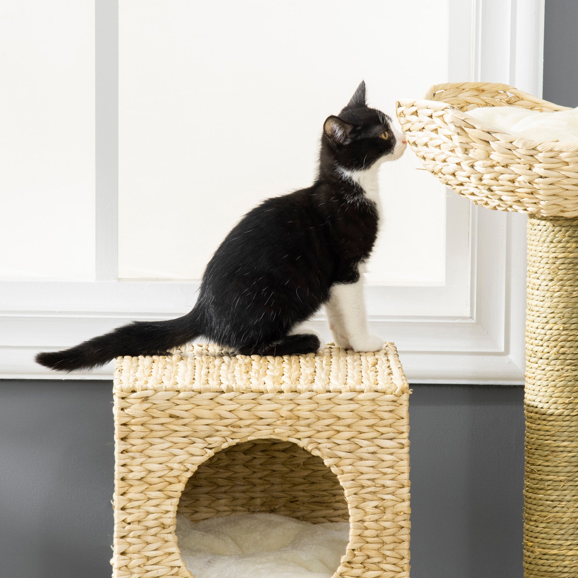 Cat Tree for Indoor Cats Kitten Tower Cattail Weave with Scratching Posts, Cat House, Bed, Ladder, Washable Cushions, Natural Finish